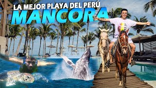 MANCORA  💲Lugares Top Ballenas amp Tortugas Marinas Gigantes [upl. by Anidan]