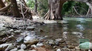 Secrets beneath the river  Tips from a Wildlife Biologist [upl. by Wren]