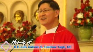 Homily Cardinal Tagle 2013 Mass of the Holy Spirit [upl. by Llamaj700]