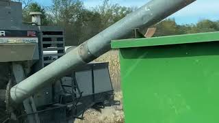 Harvesting corn and soybeans with Gleaner F2 and F combines [upl. by Gean173]