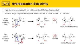 1016 HydroborationOxidation of Alkenes [upl. by Orling]