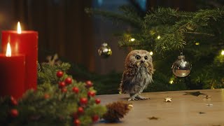 Weihnachten 2019 weihnachtliches dekorieren I Migros [upl. by Lonier]