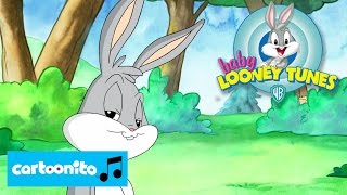 Baby Looney Tunes  SONG Baby Bunny Song  Cartoonito [upl. by Ardeed187]