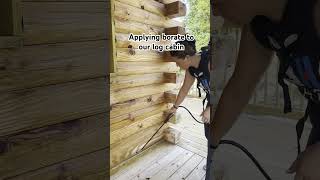 Applying borate to our log cabin to preserve the wood and prevent wood infesting insects [upl. by Dijam]