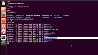 Moving and Copying Files and Directories in Linux [upl. by Nac]