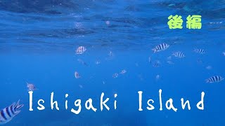 2023年12月「後編」初の石垣島への男１人旅。石垣にハマった＃石垣島＃１人旅 [upl. by Naesyar]