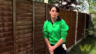 How to Paint a Wooden Fence [upl. by Egarton]