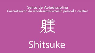 Metodologia 5S  Aula 6 Shitsuke [upl. by Roose]