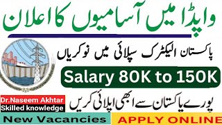 Wapda New Jobs 2024 Apply  WAPDA Latest Jobs 2024  Wapda Jobs Application Form 2024  Wapda Jobs [upl. by Lightfoot]