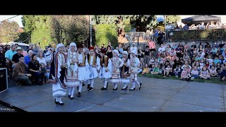 Potami  Friday Afternoon Performance  Portland Greek Festival [upl. by Hapte]