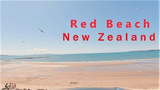 Red Beach Whangaparaoa New Zealand [upl. by Atworth]