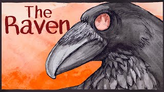 The Raven  Animation  Edgar Allan Poe [upl. by Macegan]