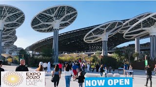 Inside Expo 2020 Dubai  Expo Pavilion Premier  The Sustainability Pavilion Terra  first look [upl. by Hsemin]