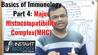 Basics of Immunology Part 4 Major Histocompatibility Complex MHC [upl. by Mindi]