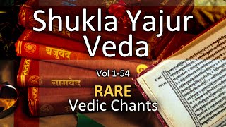 Shukla Yajur Veda Chanting  Vedic Mantras  Vol 12 [upl. by Coulombe]