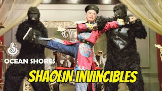 Wu Tang Collection  Shaolin Invincibles [upl. by Roderica421]