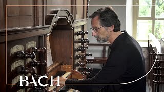 Bach  Pastorella in F major BWV 590  Smits  Netherlands Bach Society [upl. by Cheryl590]