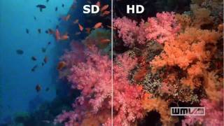 SD vs HD in video resolution sharp distinction [upl. by Nylear]