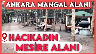 Ankarada Gezilecek Yerler 🏛️ Ankara Piknik Alanları ➡️ Hacıkadın Mesire Alanı [upl. by Eidak]