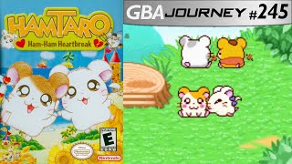 Hamtaro HamHam Heartbreak GBA Journey 245 [upl. by Wald]