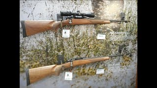 First Look Remington 783 Walnut Edition Rifle [upl. by Ahmad642]