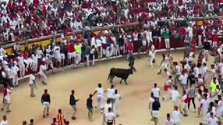 San Fermin  Pamplona 2019 [upl. by Loginov468]