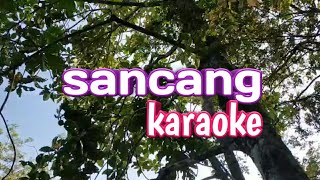 S4ncang karaoke [upl. by Amej]