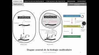 Bioinformatique  Chapitre 1  Introduction  Master Biotechnologie Alimentaire 2021 [upl. by Hendon754]