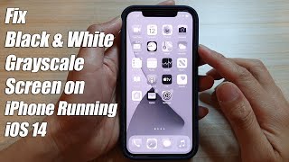 iPhone iOS 14 How to Fix Black amp White  Grayscale Screen [upl. by Metabel124]