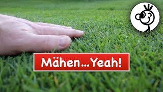 ENDLICH richtig RASEN MÄHEN  Spindelmäher YEAH [upl. by Adnamma]