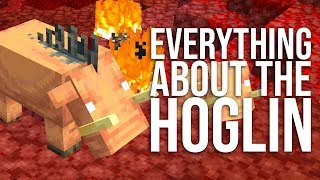 Everything About the HOGLIN in Minecraft [upl. by Flieger]