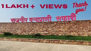 Rajgir Zoo Safari Vlogs  Full Details  Ticket Price ₹250 [upl. by Ydna]