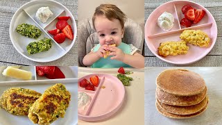 Freezer Friendly Baby Led Weaning Recipes – Prep Ahead [upl. by Bui]