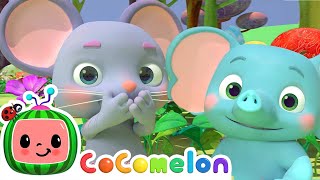 The Sneezing Song  CoComelon  Kids Learning Videos  Nursery Rhymes [upl. by Tellford784]