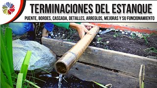 😁 ¡TERMINAMOS el ESTANQUE y BIOFILTRO ¡Los peces sapos plantas y nosotros felices [upl. by Jo-Anne795]