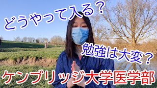 現役ケンブリッジ大学生インタビュー 【医学部・しょうこ】 [upl. by Nahallac724]