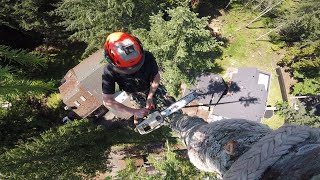 Tree Rigging  Vertical Zipline [upl. by Siro622]