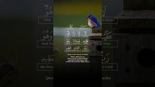 Dua for sleeping and relaxation  Morning  Evening Dua dua quran shorts [upl. by Hctub946]