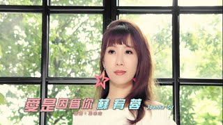 蘇宥蓉  愛是因為你 官方完整版MV HD【三立八點檔『天之驕女』片尾曲】 [upl. by Zippora]