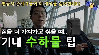 항공사 관계자분들이 이 영상을 싫어합니다  비행기 기내수하물 꿀팁 [upl. by Hgeilhsa228]