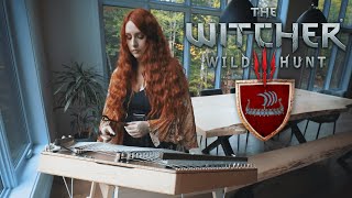 Ard Skellig Village  The Witcher 3 Hammered Dulcimer cover [upl. by Derayne]