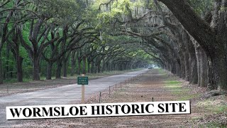 Wormsloe Historic Site  Savannah GA [upl. by Carmella]