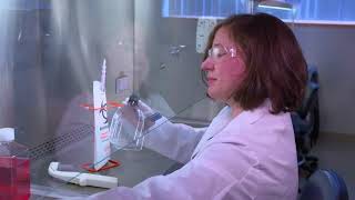 Reducing Cell Culture Contamination Aseptic Technique [upl. by Farhi]