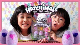 Unboxing Hatchimals Colleggtibles surprise eggs  Toy Joy Channel [upl. by Alfi]