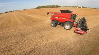 Michigan amp Ohio Farmer  CASE IH AXIALFLOW® 7088 Combine  Soybeans  Harvest 2020  5K [upl. by Atiuqes]