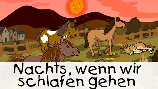 😴 Nachts wenn wir schlafen gehen  Geschichten für Kinder [upl. by Adaline]