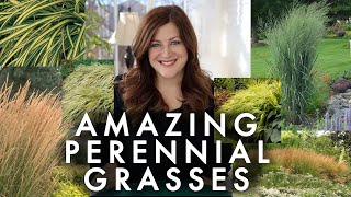 10 Perennial Grasses I Absolutely Love 🌾💚 Garden Answer [upl. by Thynne]