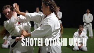 Shotei otoshi uke II LÉcole martiale Karatédo gojuryu Okinawa EM [upl. by Madanhoj]