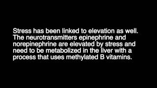 Homocysteine is it causing your illness [upl. by Towroy]