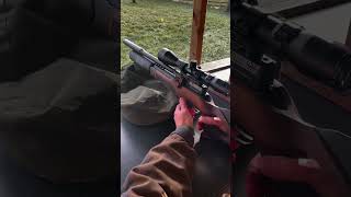 Unleashing The Power Of The Bsa R12 Clx Pro 12 Shot Multishot Pcp Air Rifle In Action [upl. by Mauralia113]